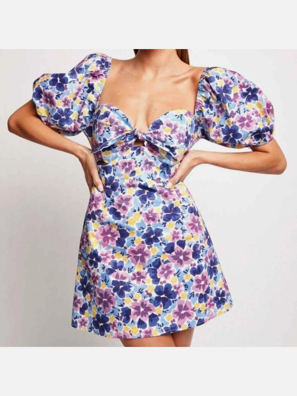 Sofia The Label GG Tie Front Mini Dress Floral Small